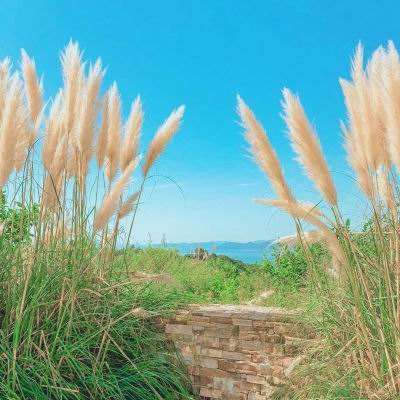 彩神lllv入口app下载